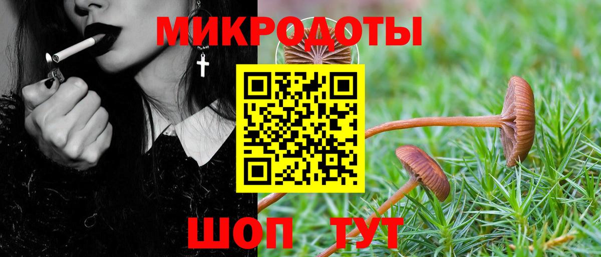 Галлюциногенные грибы Cubensis  цена наркотик  Минусинск  Вход с VPN 