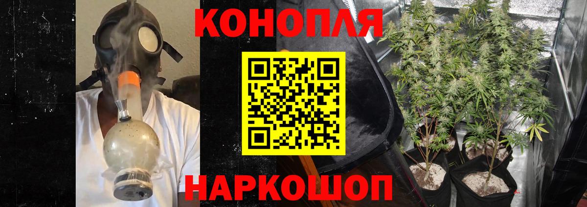 Каннабис сатива  Бошки Шишки тримм  Вход с VPN  Бошки марихуана марихуана  Минусинск 